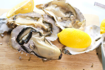 生カキ　殻つき牡蠣のむき身