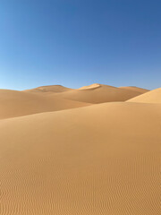 Fototapeta na wymiar Simple abstract desert scenery with sand dunes and blue sky. Liwa desert, Abu Dhabi, UAE.