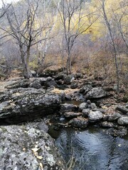 Mountain Creek. Mountain stream in autumn.