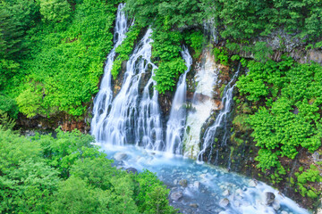 美瑛　白ひげの滝