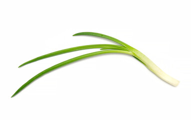 onion green vegetable