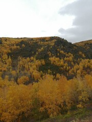 Mountain gorge in autumn. Rocks, mountains, orange trees.