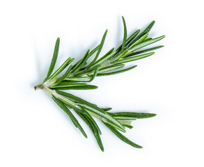 Fototapeta premium rosemary isolated on white background