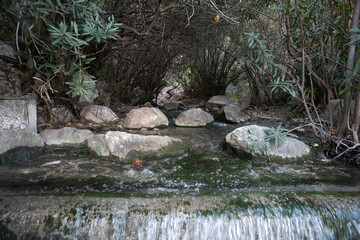 Fototapeta premium Nacimiento de agua de Istán 
