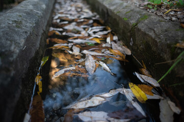 Nacimiento de agua de Istán 