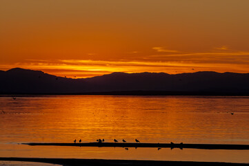 View of Salton Sea, Imperial Valley, California, USA