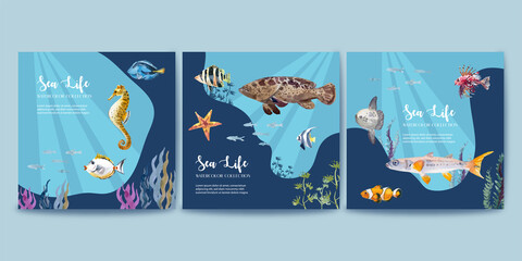 Watercolor with graphic composition, sea fish and marine life elements collection.
