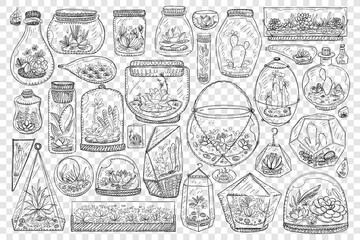 Jars for growing cactus doodle set. Collection of hand drawn glass jars and balls for keeping and growing plants cactus and japanese gardens isolated on transparent background