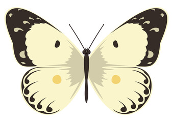 Yellow butterfly. Vector illustration on a white background.