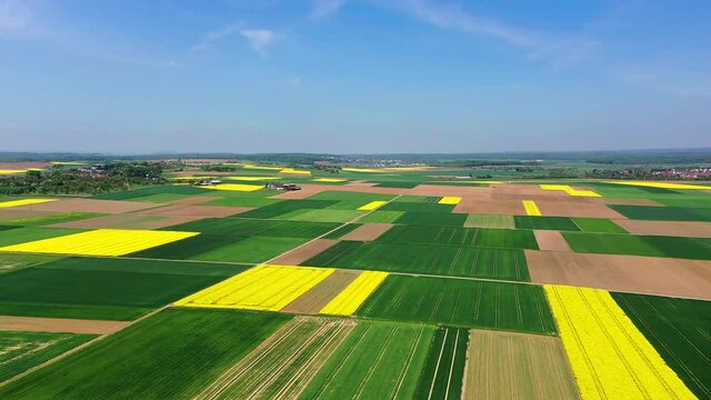 Agricultural fields at Lich / M&uuml;nzenberg district, Hesse, Germany