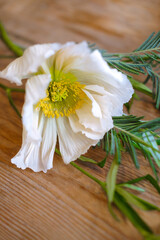 Fototapeta premium Spring white flowers with green leaves on a wooden table