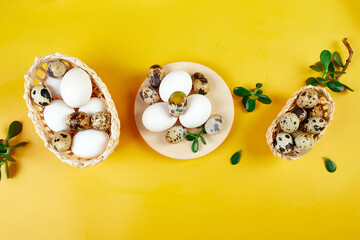Flat lay easter composition with green leaves and easter eggs on a yellow background