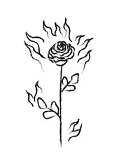Rose on fire sketch, tattoo flash