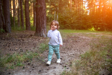 adorable toddler walks in the woods