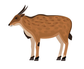 Antelope with horns. Cartoon African exotic character of zoo, symbol of hunting trophy, hoofed beast of wildlife, vector illustration of eland isolated on white background