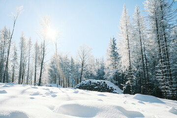 Himmel und Sonnenschein Winter Harzlandschaft