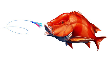 Red emperor snapper fish attacks bait sea swim squids skirt. Red fish realistic illustration isolated. - 414093311