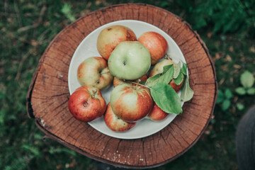 Jabłka na talerzu 