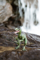 Velocirraptor 