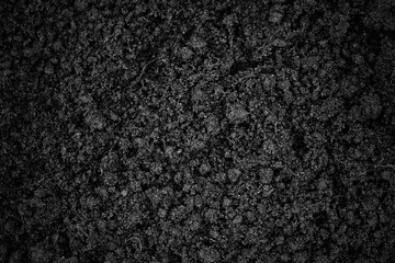 Fototapeta premium Dark black soil. Close-up. Top view. Background. Texture.