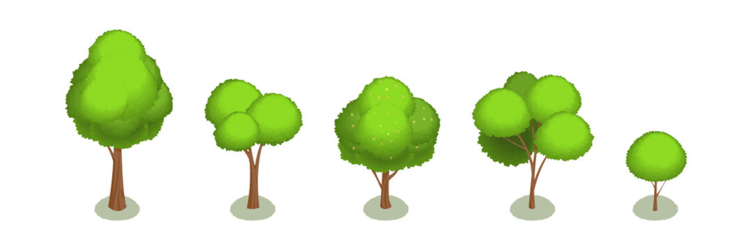 Realistic isometric set of green trees isolated on white background. 3D trees icons. Set vector isometric trees forest nature elements for maps and games.