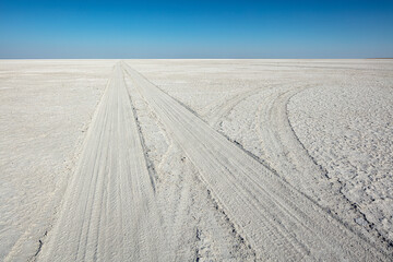 Naklejka premium Tracks of cars in the salt dust of the Makgadikgadi salt-pan in Botswana