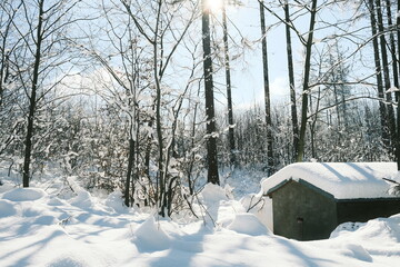 Alte Hütte im tief verschneiten Wald mit Sonne