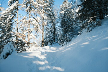 Schönes Wetter. Spazieren im Schnee