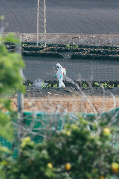 Hombre fumigando parras con traje EPI