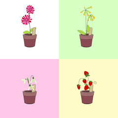 Set with different flowers. Different sorts and color.