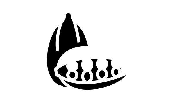 Aromatherapy Herbs Icon Animation Lavender And Peppermint, Ginger And Frankincense, Patchouli And Chamomile Aromatherapy