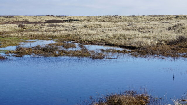 Water In Agger Tange, Denmark, March