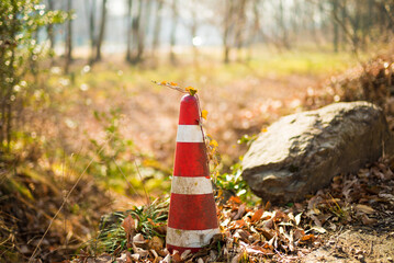 自然の中にある風化したカラーコーン