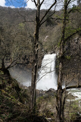 ２本の立木と激しい水しぶきを上げる苗名滝