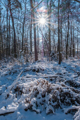 Fototapete bei efototapeten.de bestellen   