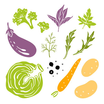 Cabbage, eggplant, broccoli, carrot, potatoes, herbs. Colorful sketch collection of vegetables and herbs isolated on white background. Doodle hand drawn vegetable icons. Vector illustration