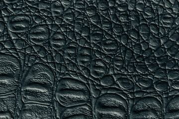 Black leather texture background, closeup. Dark gray reptile skin, macro.