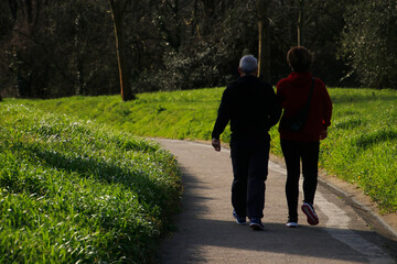 Couple walking in a park