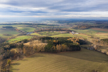 Aerial view of an pine tree forest