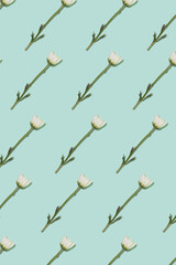 Creative pattern with daisy flower on pastel green background. Minimal spring design.