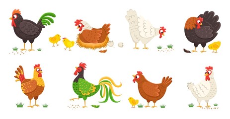 Cartoon domestic chicken. Funny roosters and mother hens various breed with small chicks, colorful easter color birds collection, egg shell and nest. Cute farm animals vector set