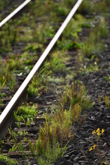 荒野に輝く鉄路