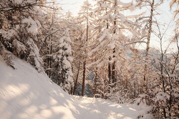 Obraz premium Wandern im Schnee