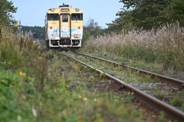 荒野を行く列車