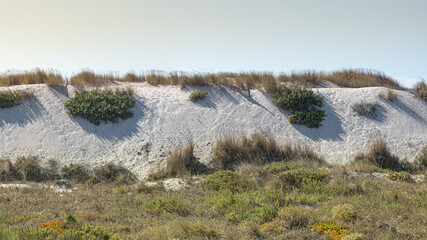 Fine white sand dunes on the coast