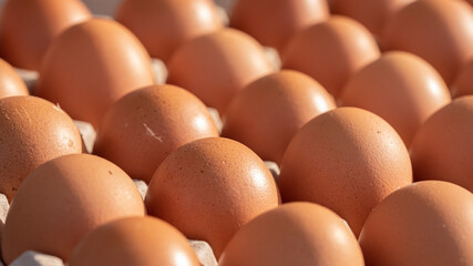 Fresh brown eggs pattern on farm