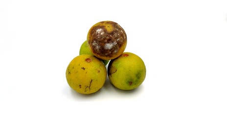A rotten lemon on a white background