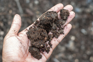 Dirt for farming and agriculture shot with narrow depth of field