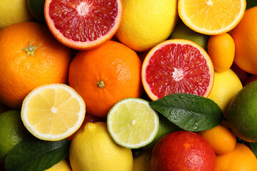 Fototapeta na wymiar Different ripe citrus fruits as background, closeup