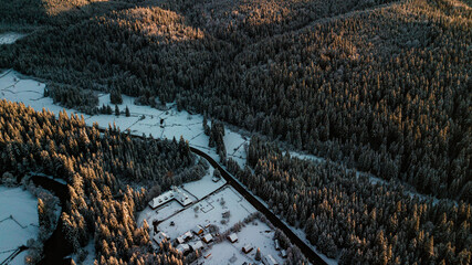 Obraz premium Carpathian mountains winter. Snow coniferous forest at sunset.